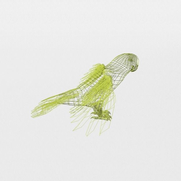 Parakeet parrot with wings spread Low-poly 3D model_7