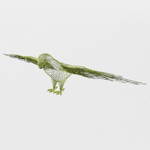 Parakeet parrot with wings spread Low-poly 3D model_4