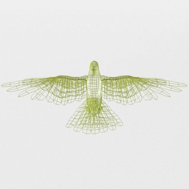 Parakeet parrot with wings spread Low-poly 3D model_5