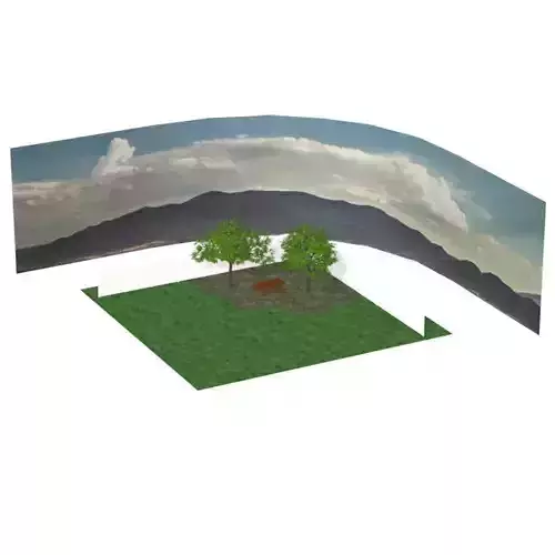 Backyard Scene 3D model