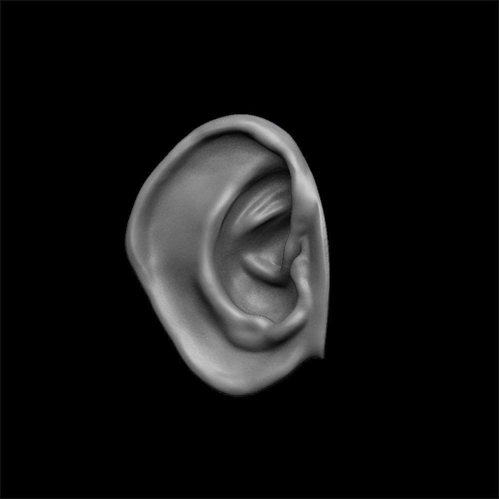 ears 3D model with high poly and low poly 3D model_1