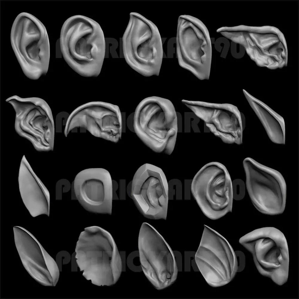 ears 3D model with high poly and low poly 3D model_0