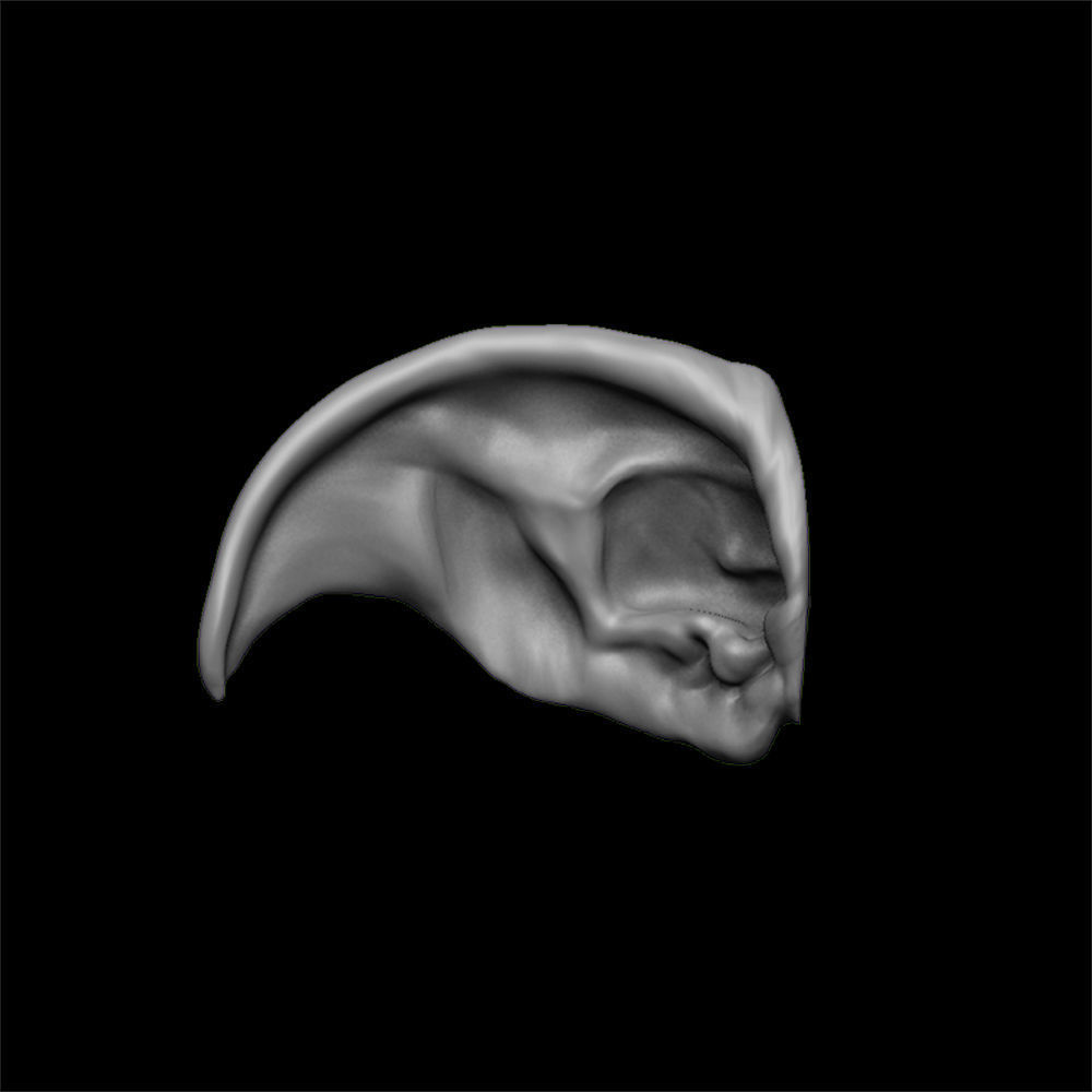 ears 3D model with high poly and low poly 3D model_10