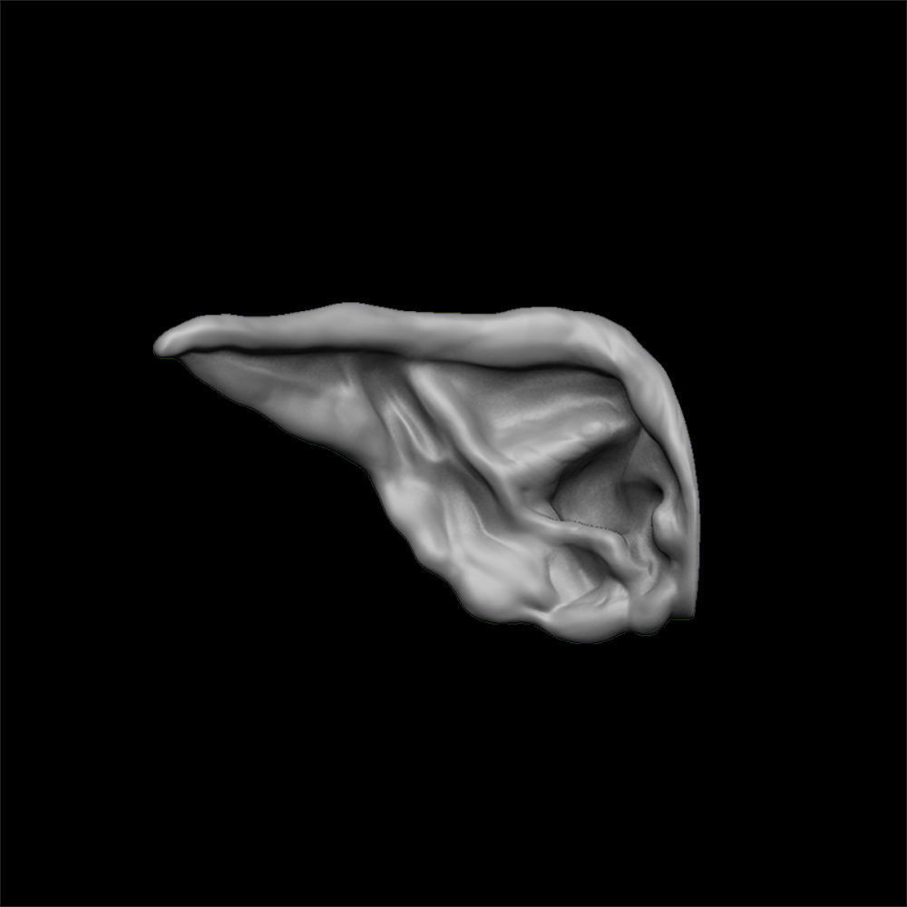 ears 3D model with high poly and low poly 3D model_8