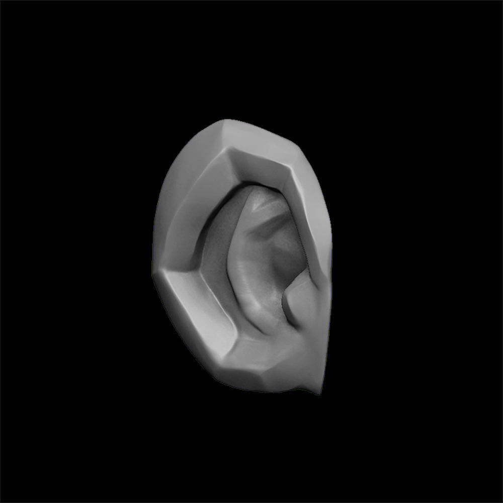 ears 3D model with high poly and low poly 3D model_14