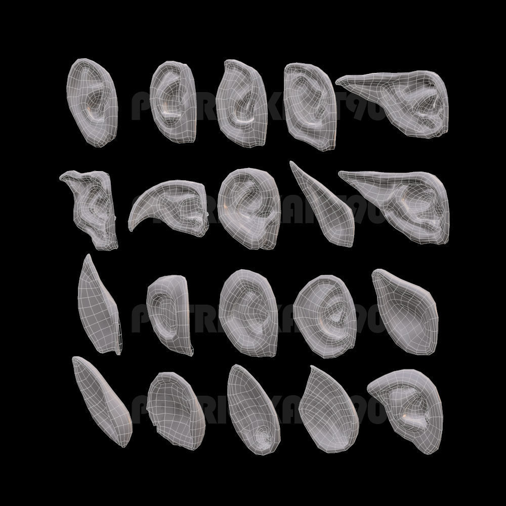 ears 3D model with high poly and low poly 3D model_21
