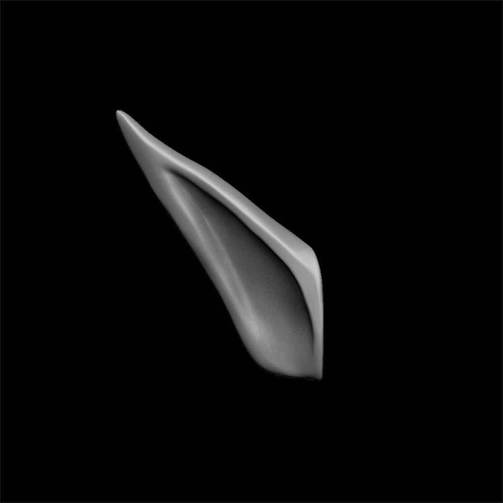 ears 3D model with high poly and low poly 3D model_11