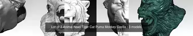 Lot of 3 Animal head Tiger Cat Puma Monkey Gorilla 3D Model Collection