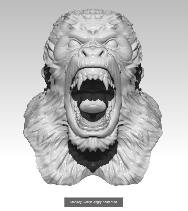 Lot of 3 Animal head Tiger Cat Puma Monkey Gorilla 3D Model Collection_3