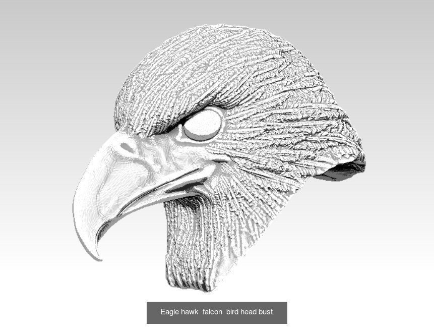 Lot of 4 pcs Eagle collection _3