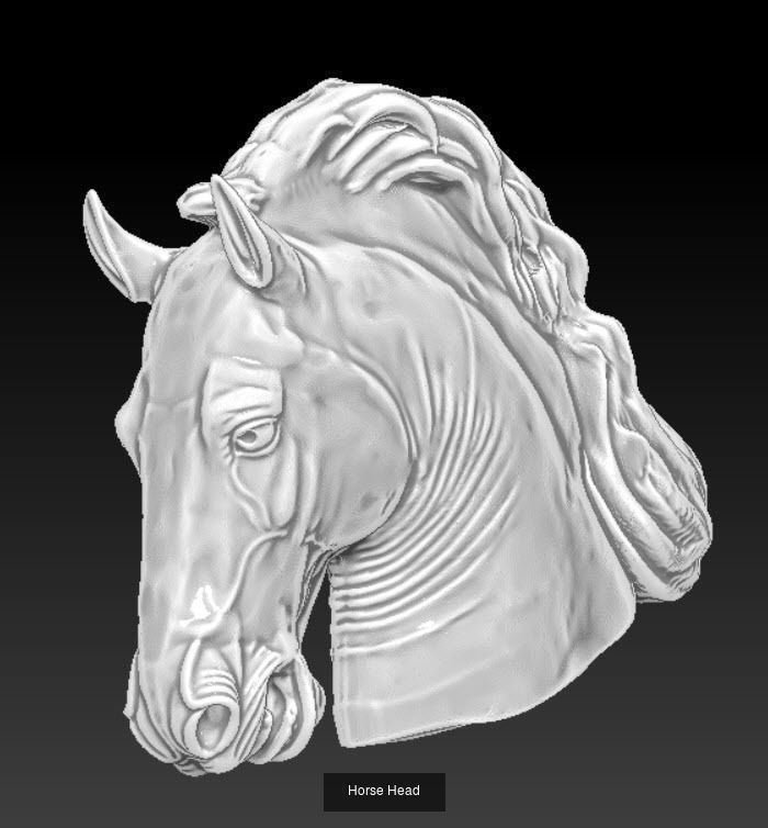 Lot of 4 pcs Horse Mustang heads 3D Model Collection_4