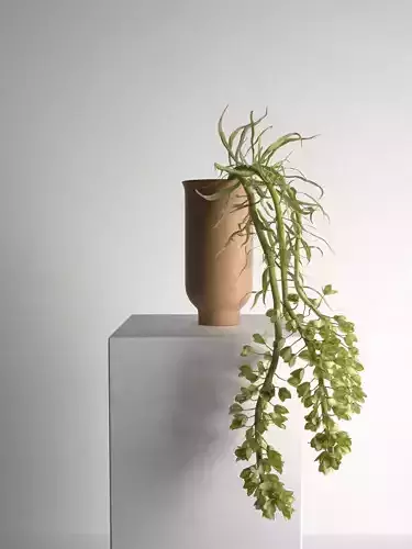 Cyclades Vase with Plants