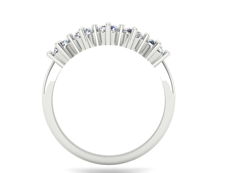 Ring n 66 3D print model_6