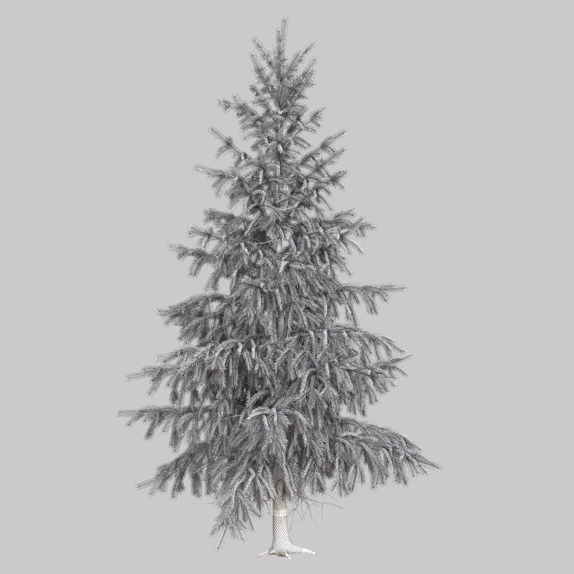 High Poly Spruce Tree 3D model_17