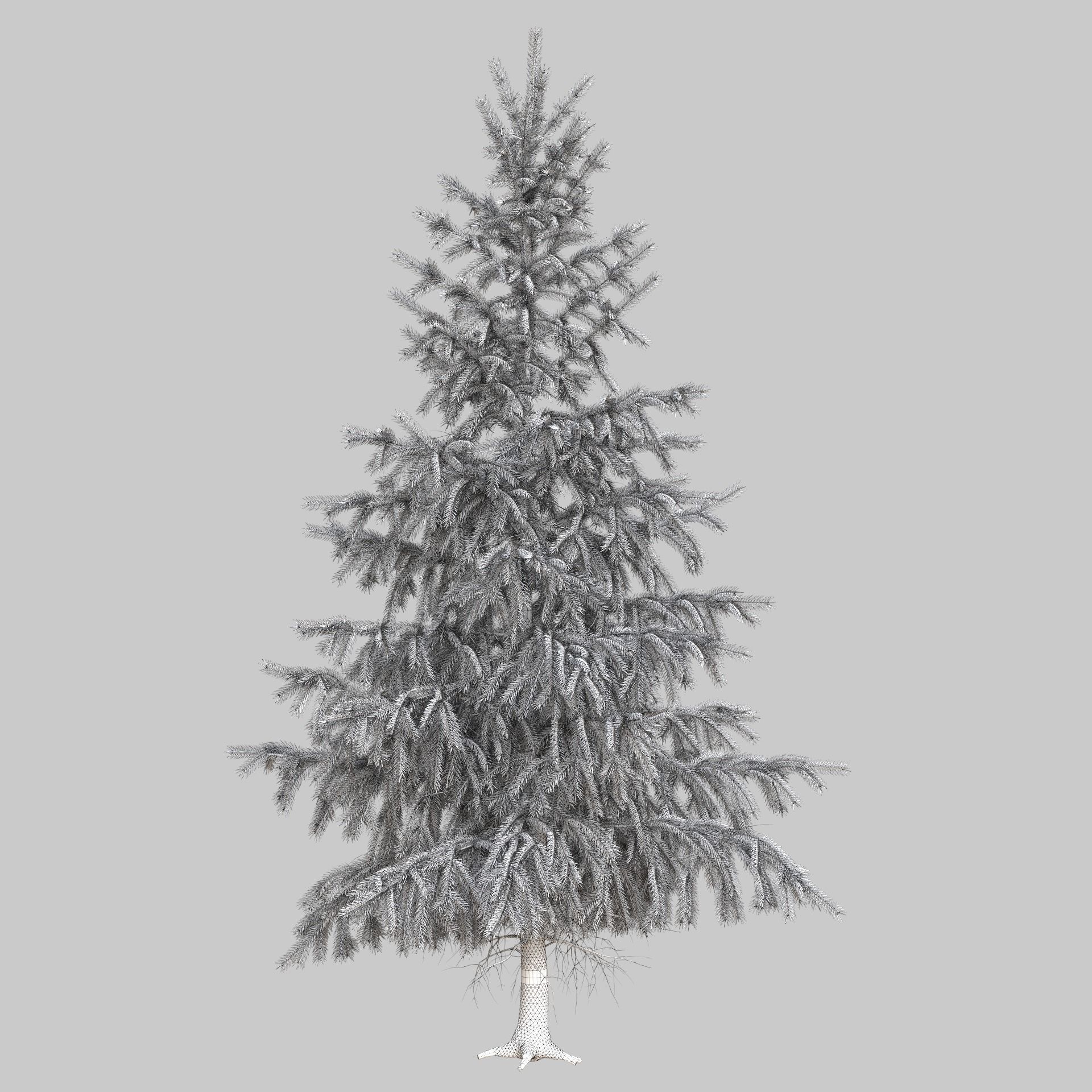 High Poly Spruce Tree 3D model_14