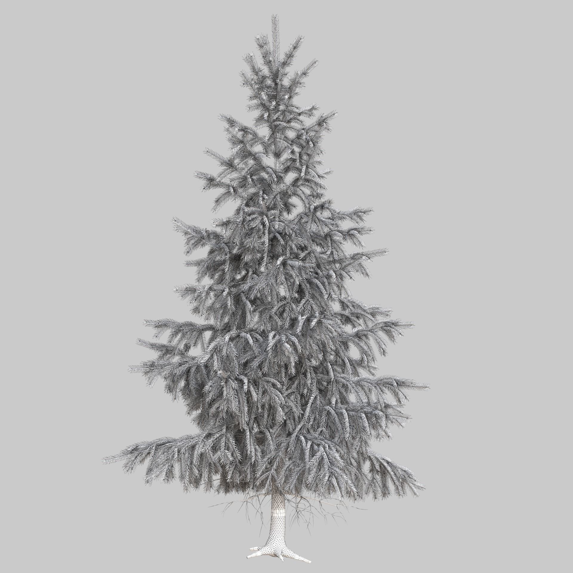High Poly Spruce Tree 3D model_13