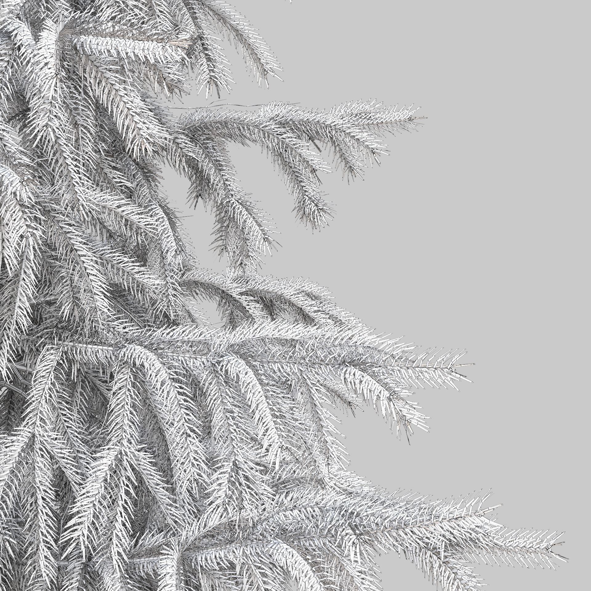 High Poly Spruce Tree 3D model_12