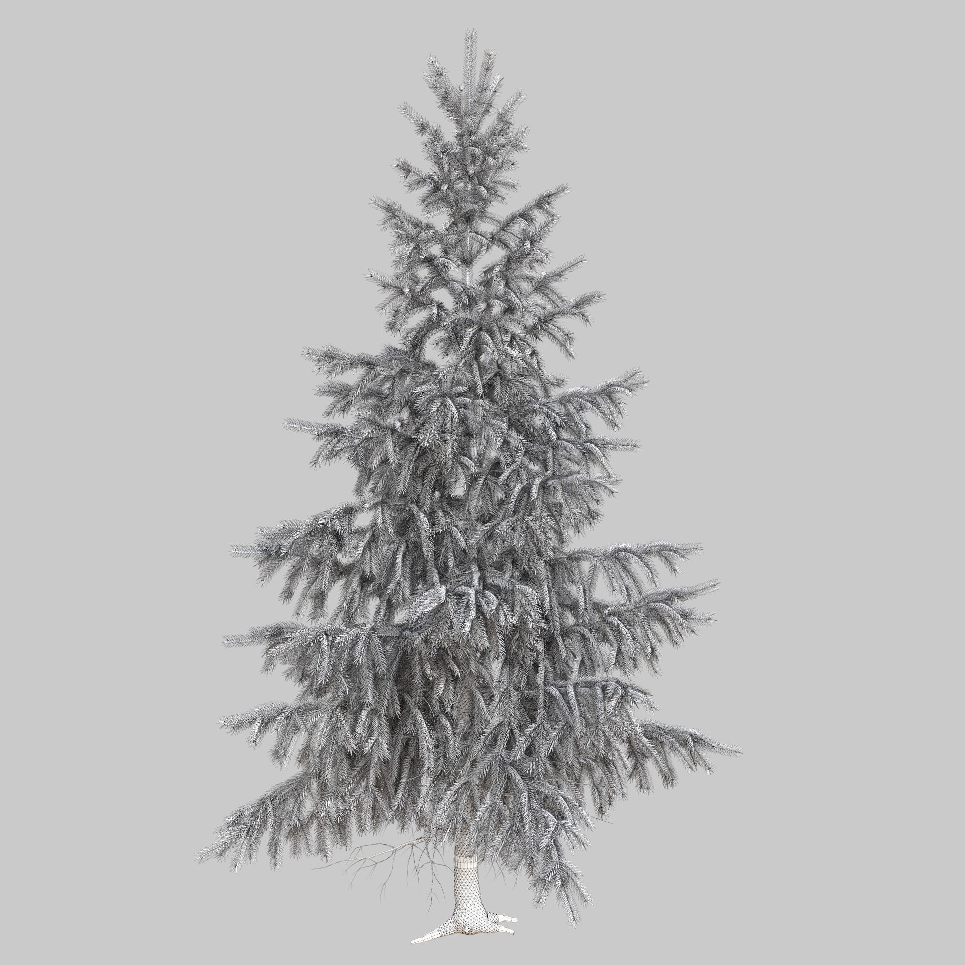 High Poly Spruce Tree 3D model_16