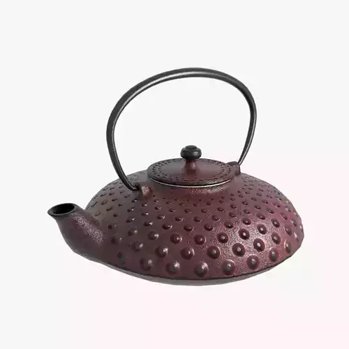 Cast iron teapot