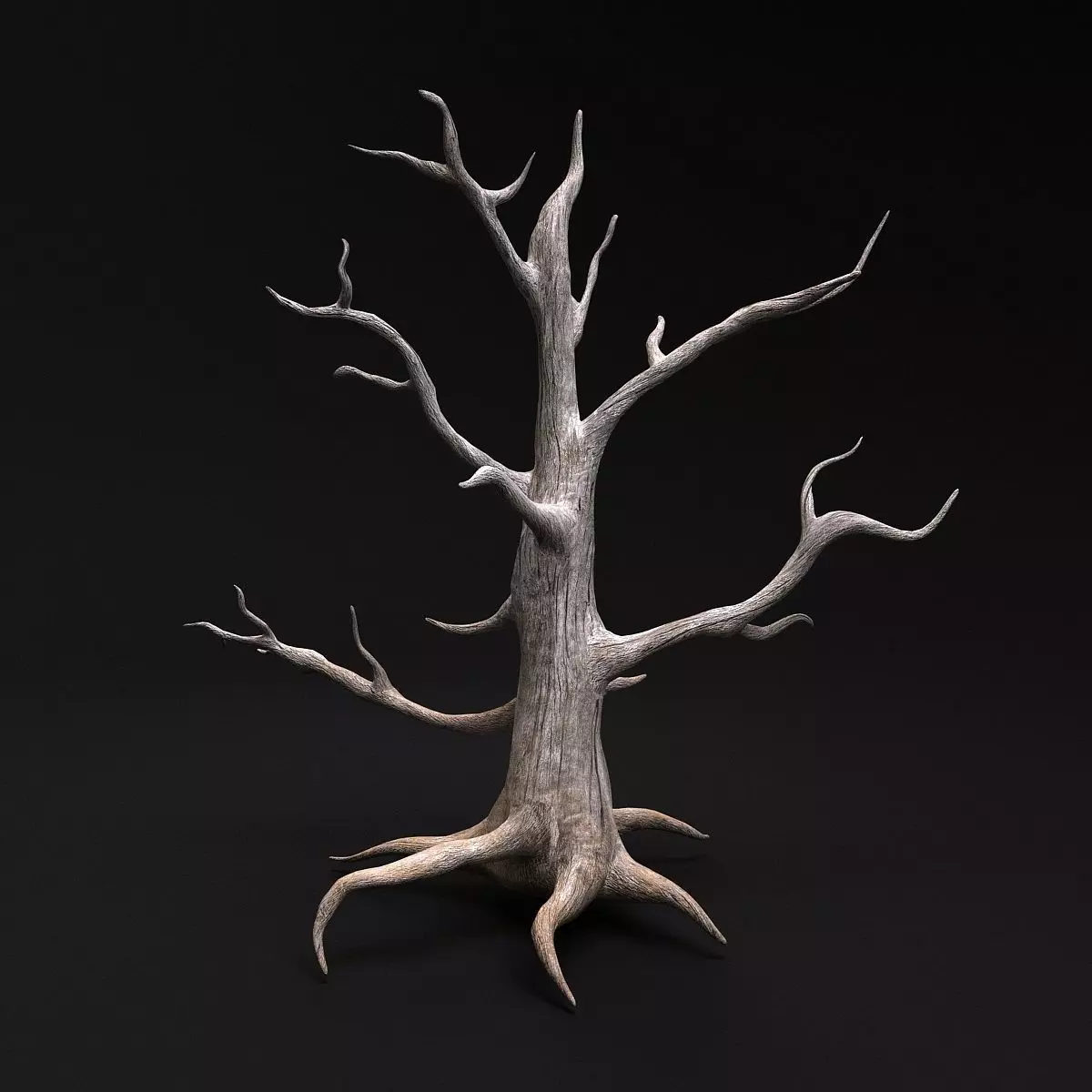 Desert tree 3D model