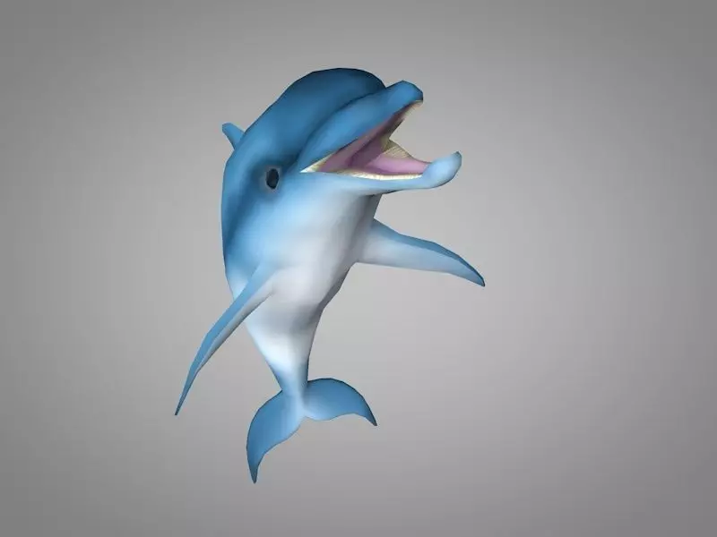 Dolphin Low-poly 3D model_0