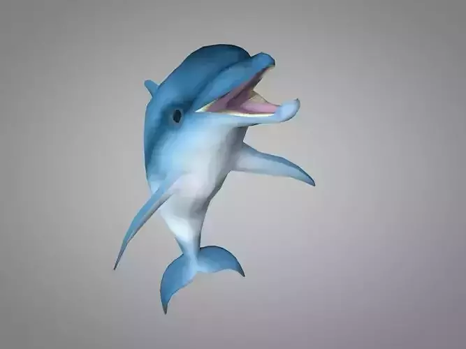 Dolphin Low-poly 3D model