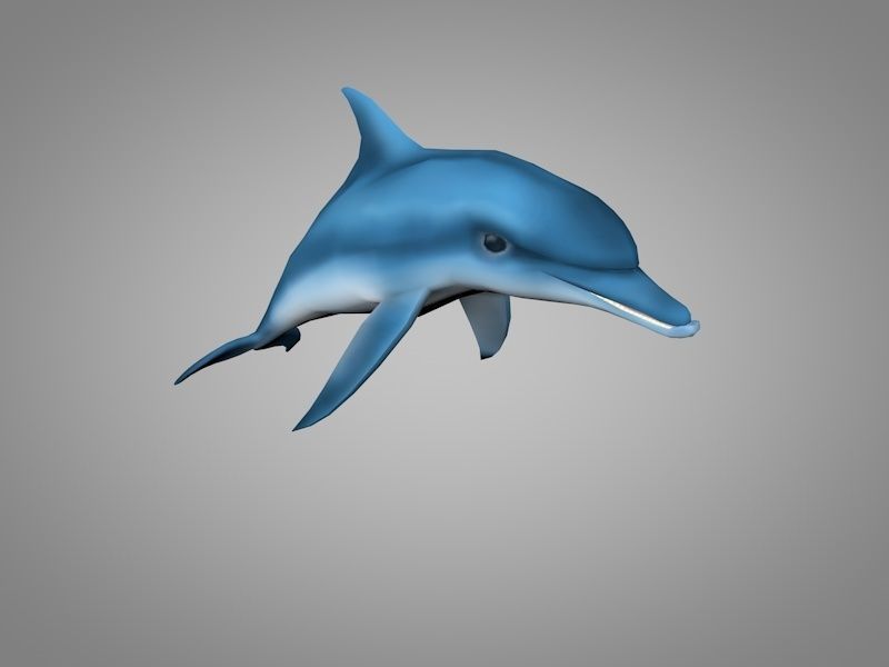 Dolphin Low-poly 3D model_6