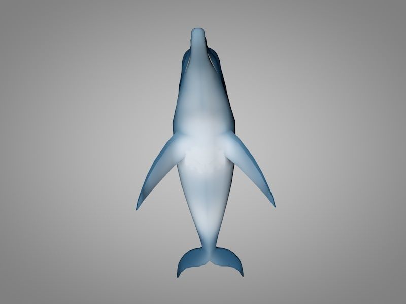 Dolphin Low-poly 3D model_4