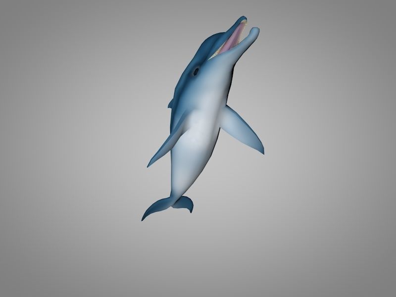 Dolphin Low-poly 3D model_1