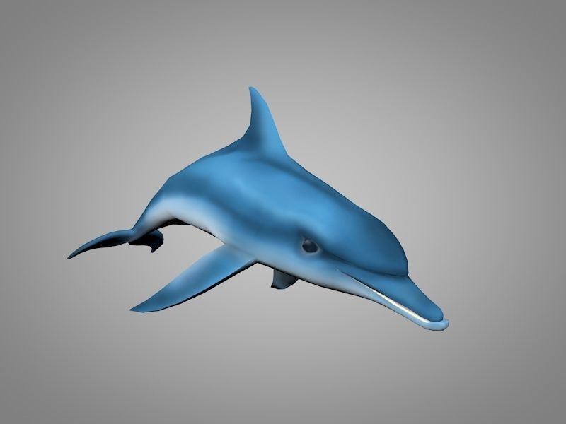 Dolphin Low-poly 3D model_7