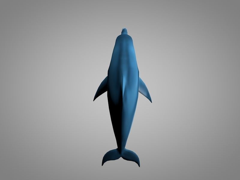 Dolphin Low-poly 3D model_5