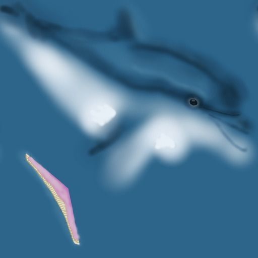Dolphin Low-poly 3D model_9