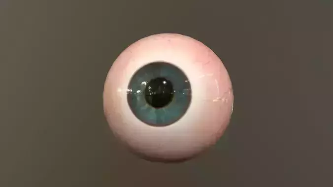 Realistic eyes for videogames characters Free low-poly 3D model