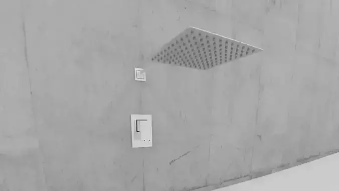 regadera con maneral