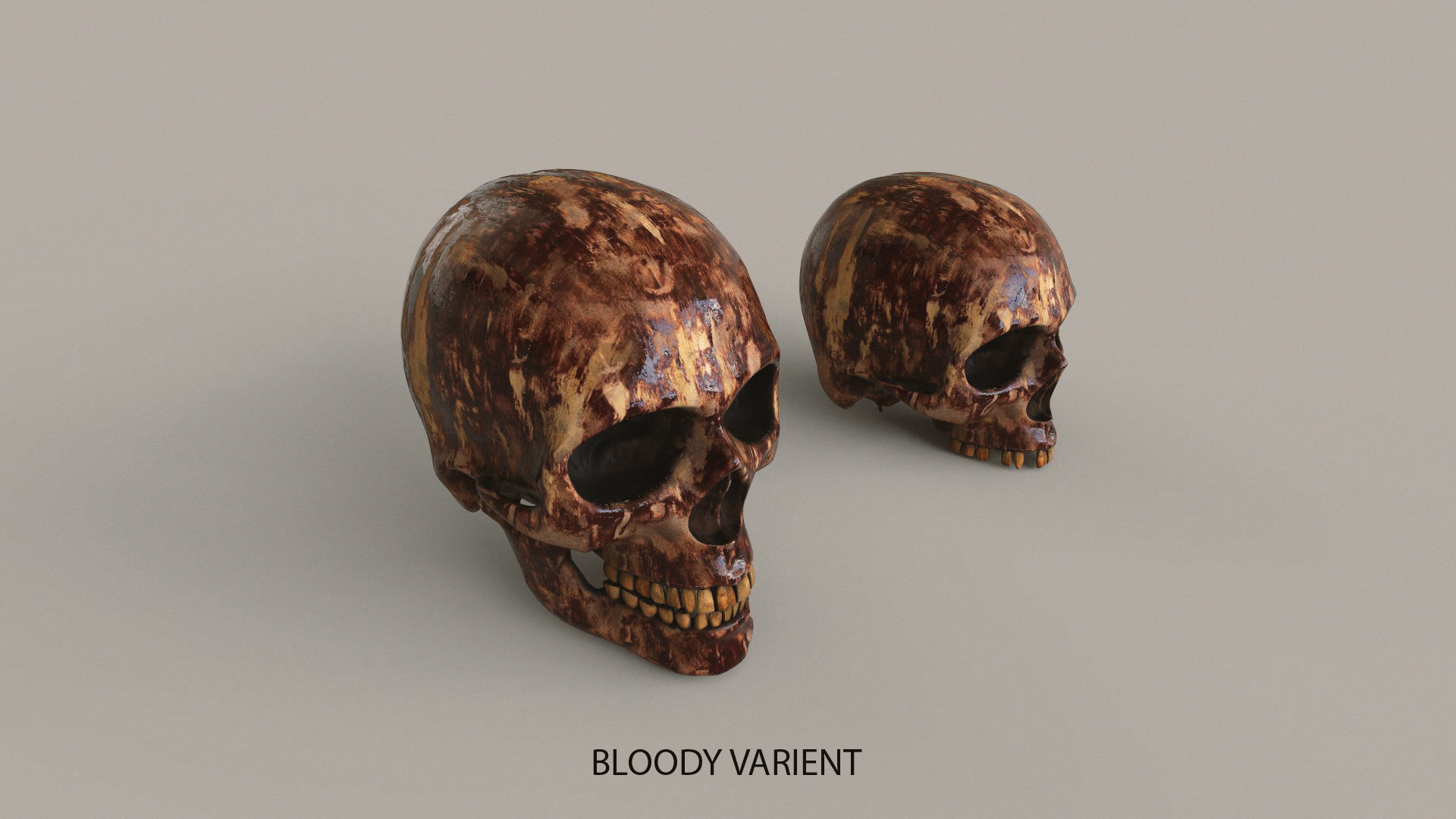 Human Skulls Low-poly 3D model_9