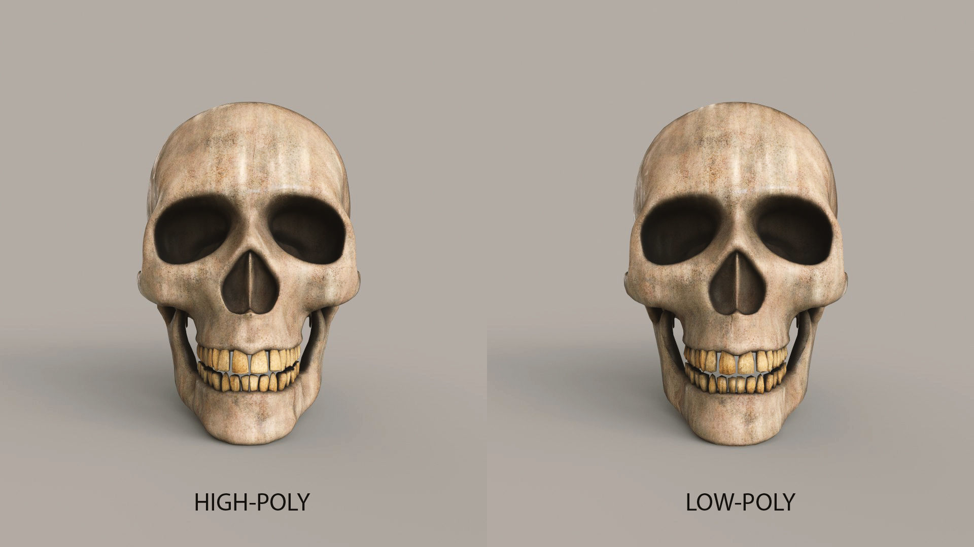 Human Skulls Low-poly 3D model_7