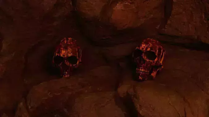 Human Skulls