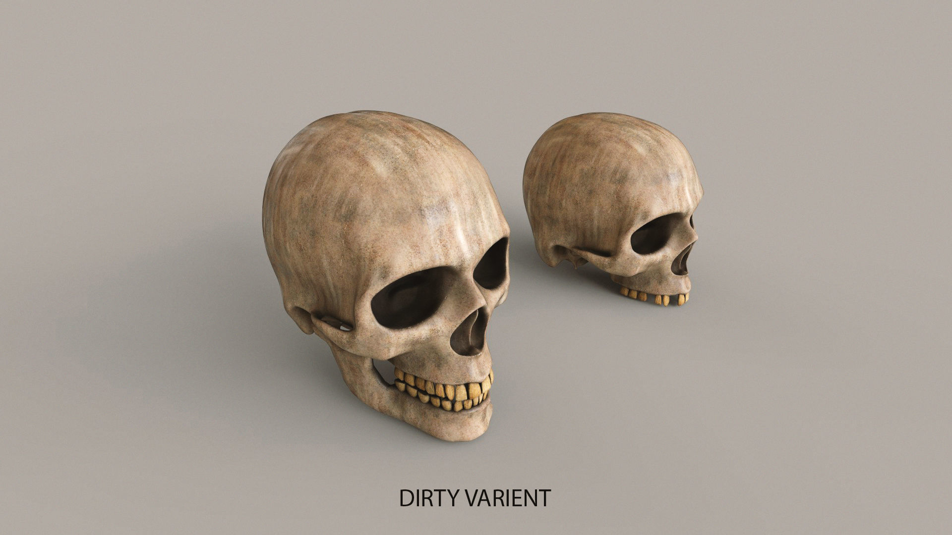 Human Skulls Low-poly 3D model_11