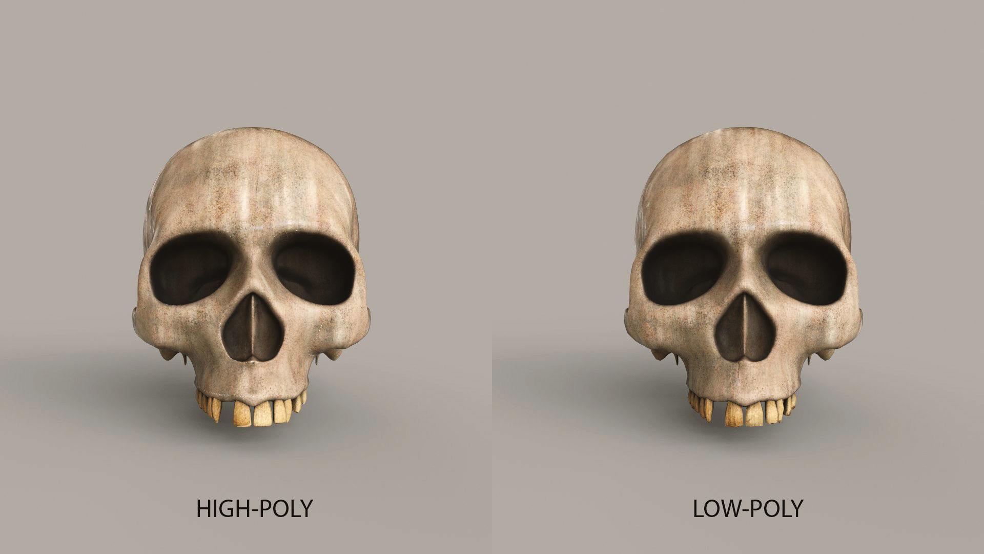 Human Skulls Low-poly 3D model_8