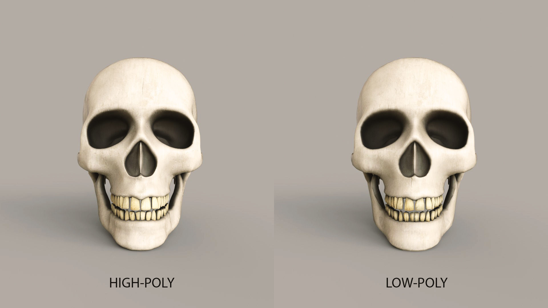 Human Skulls Low-poly 3D model_5