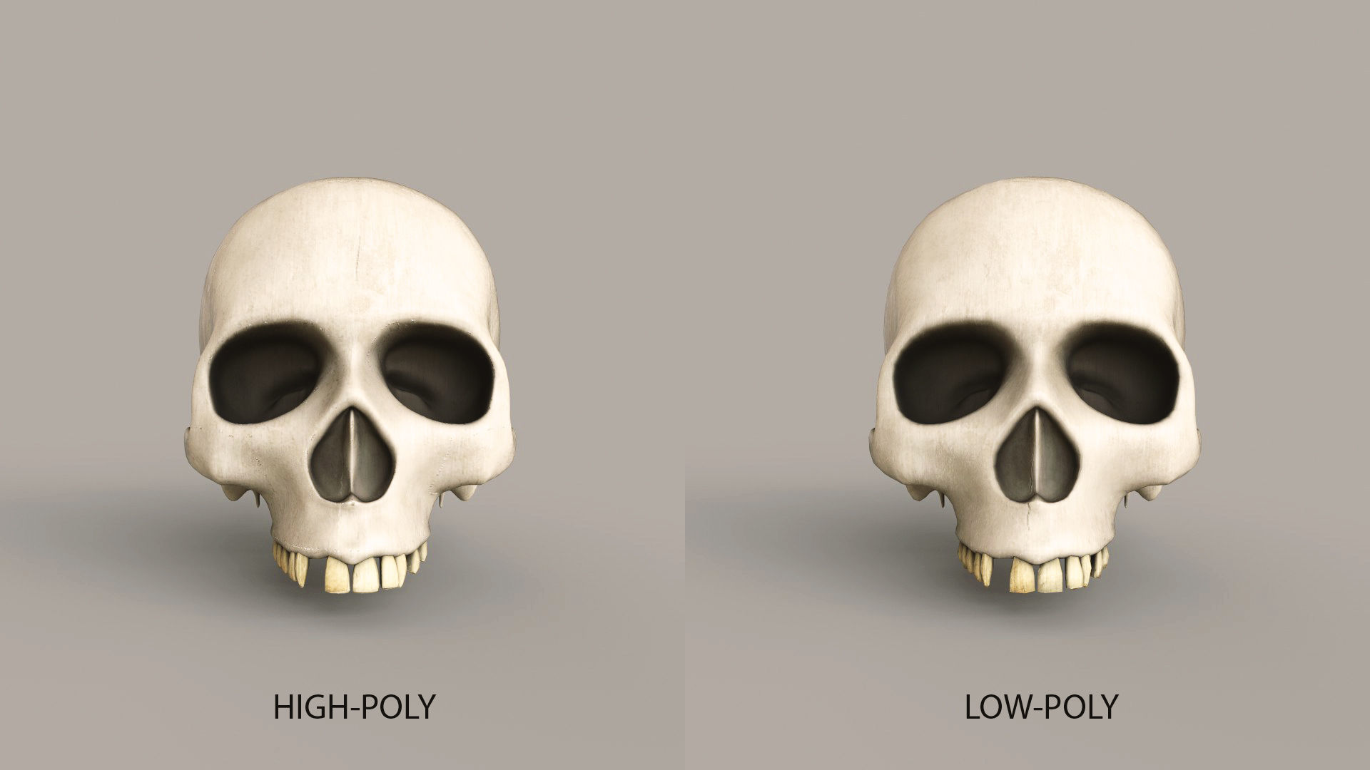 Human Skulls Low-poly 3D model_6