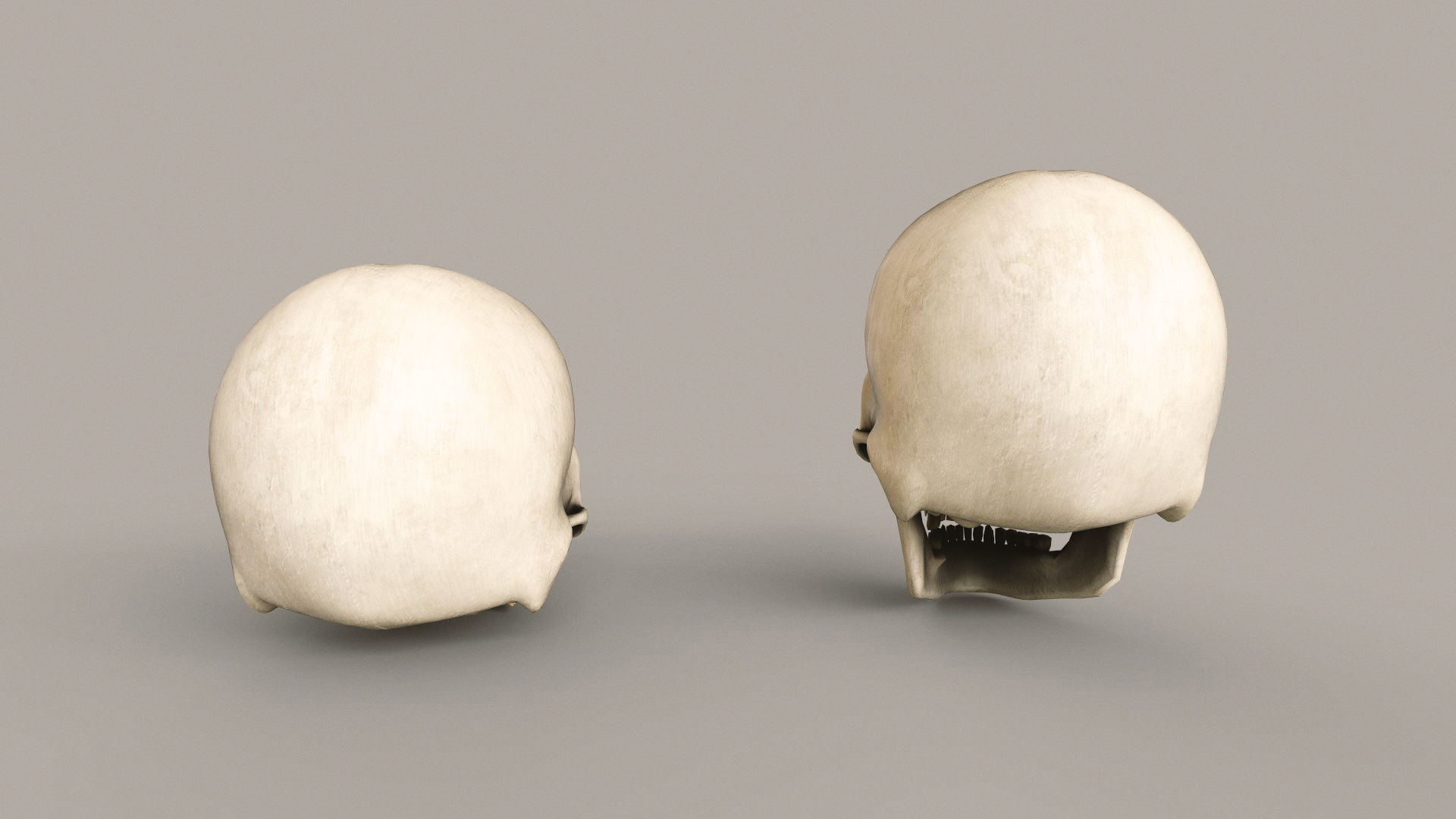 Human Skulls Low-poly 3D model_13