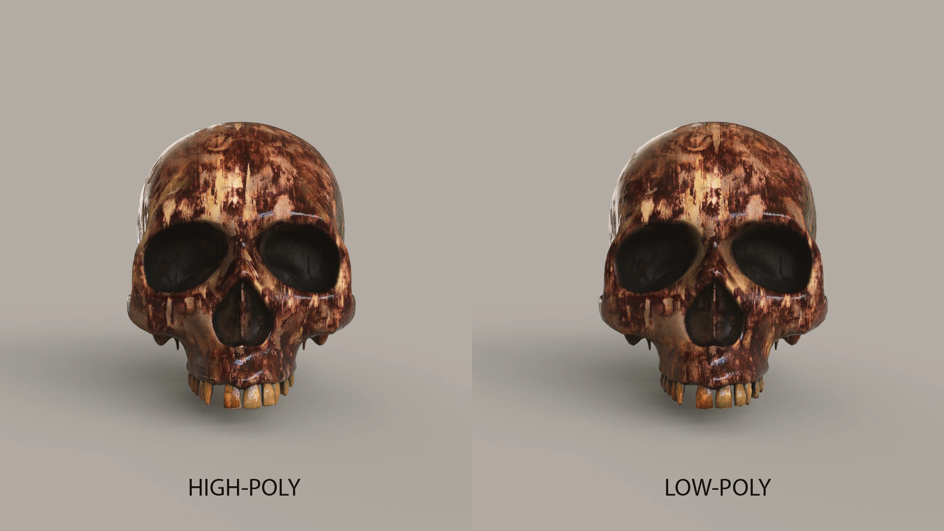 Human Skulls Low-poly 3D model_4