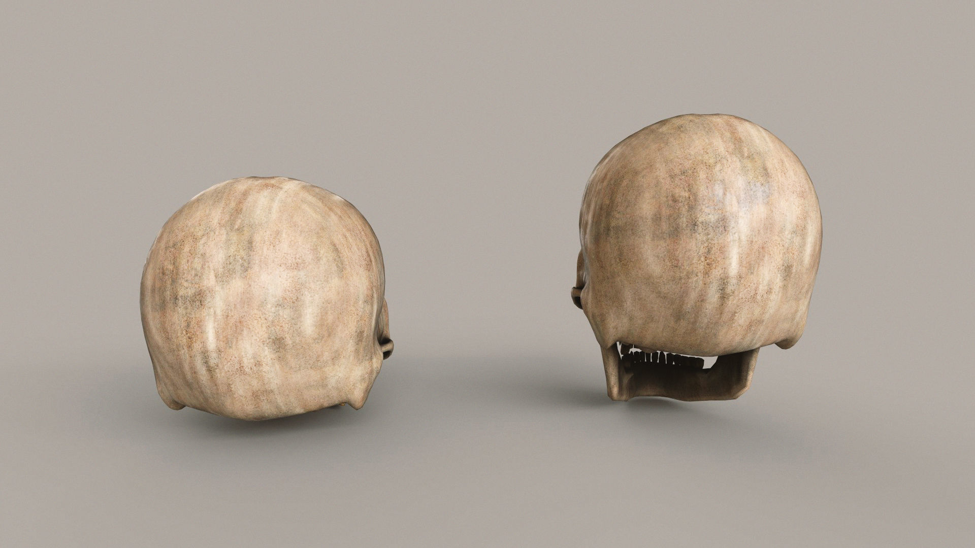 Human Skulls Low-poly 3D model_14