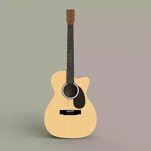 Acoustic Guitar -Cutaway