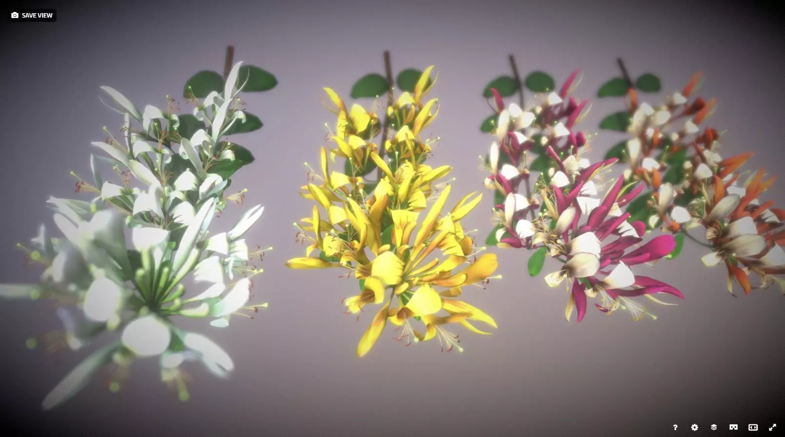 Caprifoliaceae Flower Low-poly 3D model_0