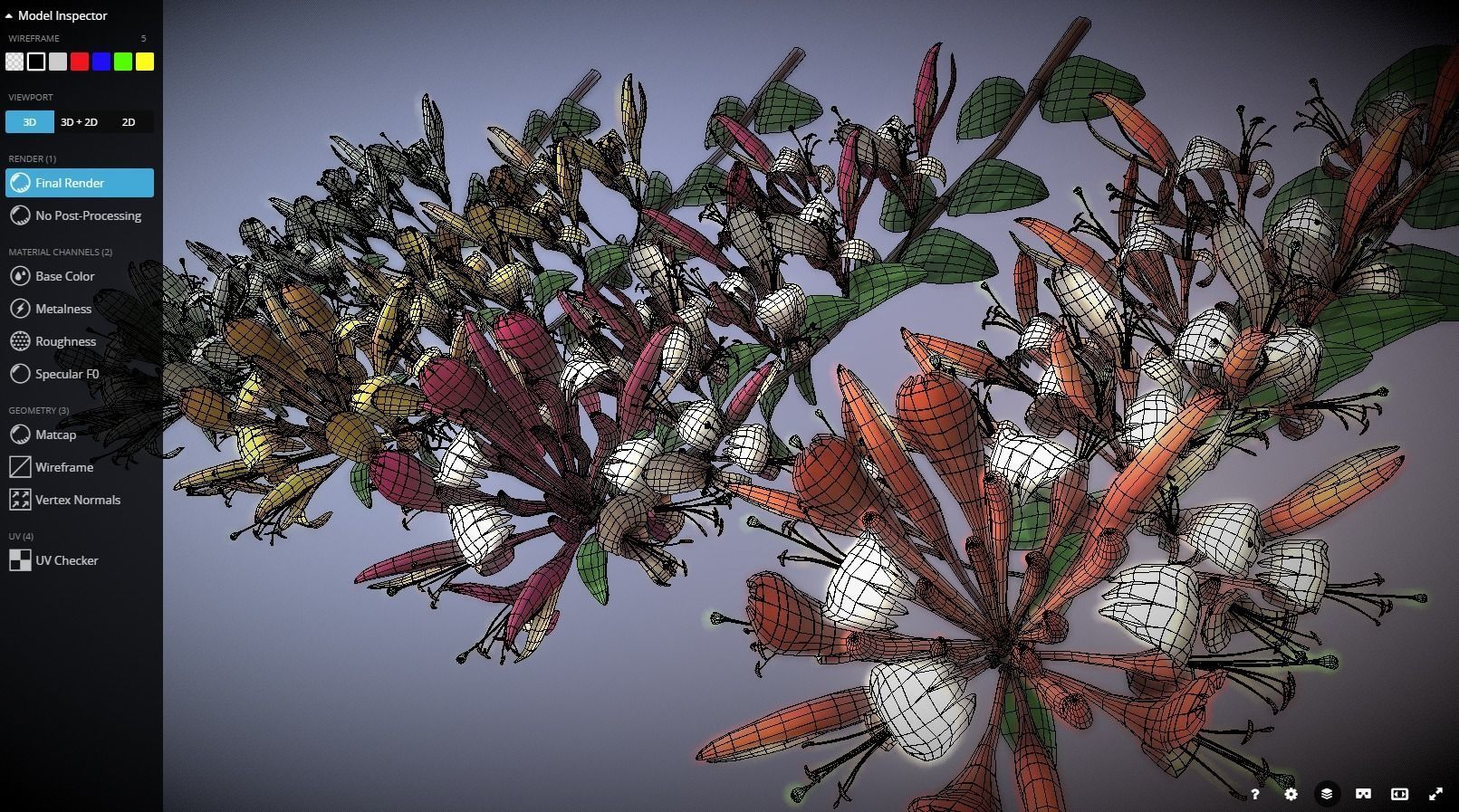 Caprifoliaceae Flower Low-poly 3D model_1