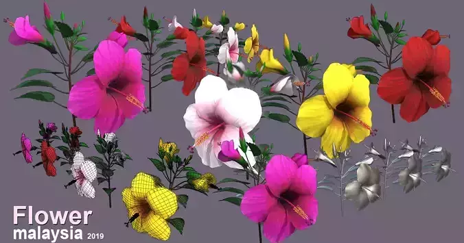 Flower Malaysia Low-poly 3D model
