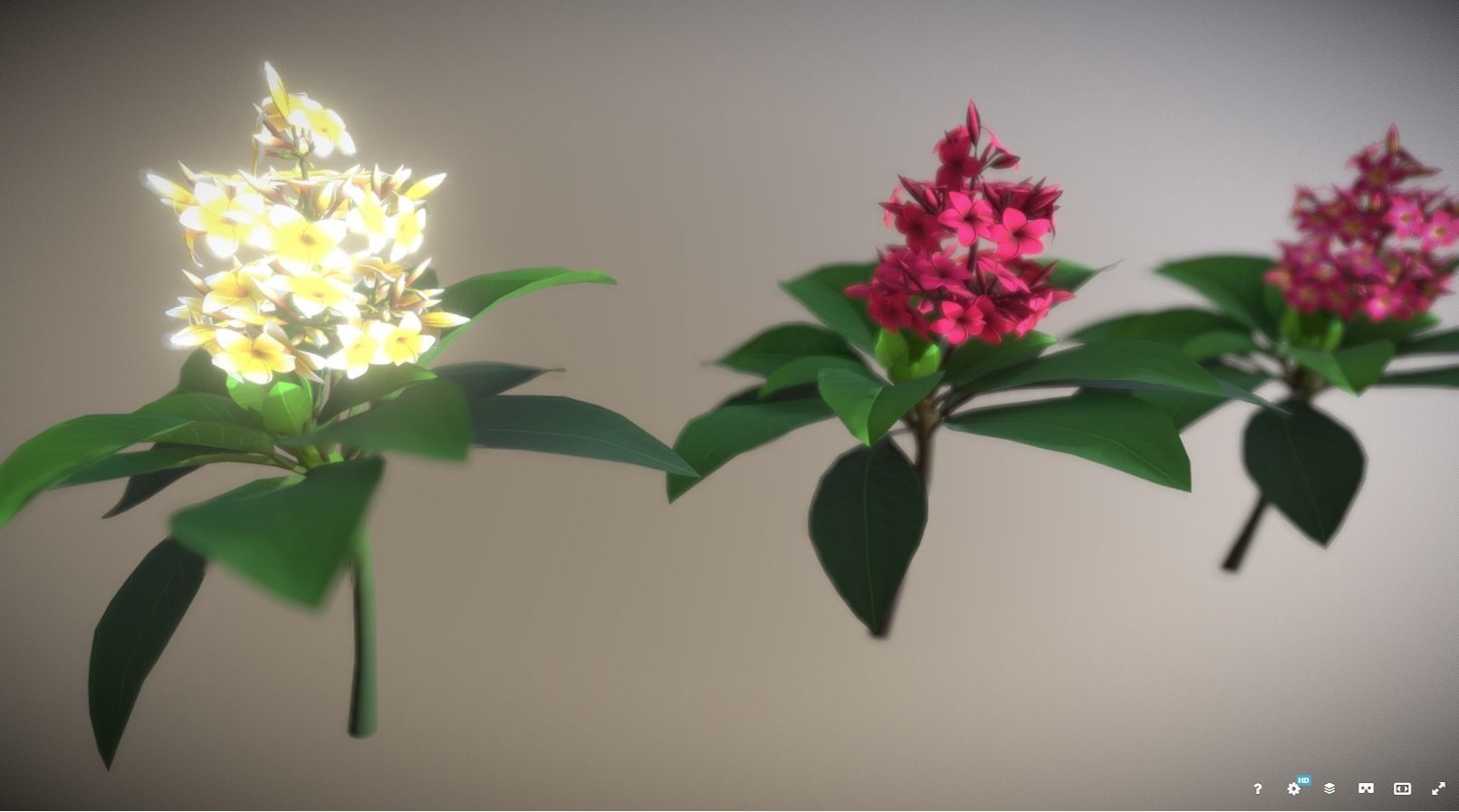 Plumeria Flower Low-poly 3D model_3