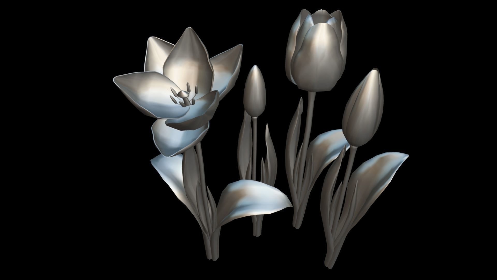 Flower Tullip Low-poly 3D model_8